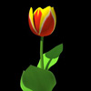 Tulipa keizerskroon