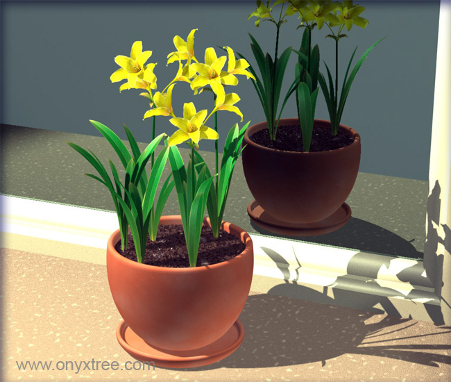 Chlidanthus fragrans