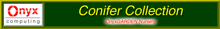 OnyxNURSERY