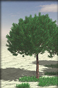 Onyx Tree Storm 2012 For 3Ds Max 2012.20