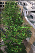 Onyx Tree Storm 2012 For 3Ds Max 2012.20